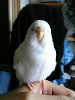 ねむねむ