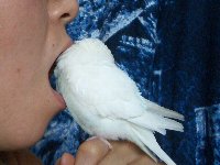 食べちゃうぞー右