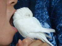 食べちゃうぞー左