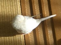 遊び疲れて2