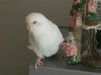 偉そう