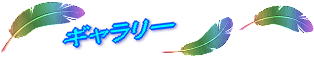 ギャラリー