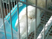 ひなたぼっこ