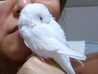 ぬくぬく状態２