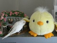 なでなで