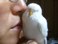 ぬくぬく状態１