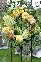 mariage7.jpg