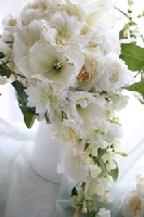 bouquet2.jpg