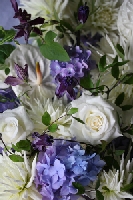 2007.7.22鉄線、ダリア.jpg