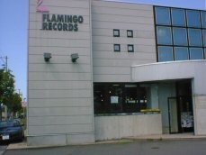 flamingo1.jpg