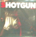 shotgun6.jpg