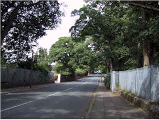 d015.h6.jpg (14202 oCg)