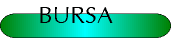 pl_bur.gif (2934 oCg)