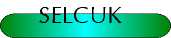 pl_sel.gif (2919 oCg)