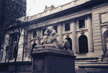 p_lion.gif (37395 oCg)