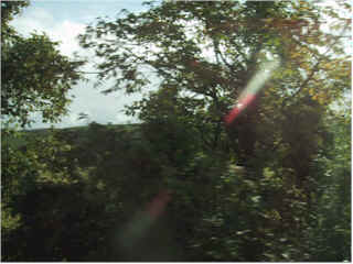 wpe2A.jpg (12100 バイト)
