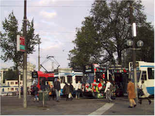 wpe1F.jpg (14128 バイト)