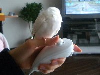 ゲームしてるのに熟睡