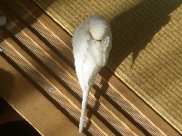 遊び疲れて1