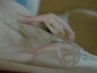 昇天