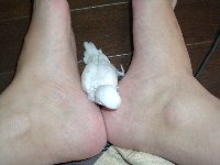 よちよち
