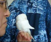ぬくぬく純ちゃん