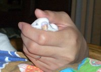 手の中すやすや