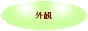 �R�`���ł�